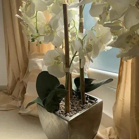 Dyrrahu Villa Golem (Tirana)