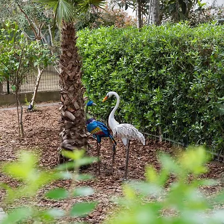 Dyrrahu Villa Golem (Tirana)