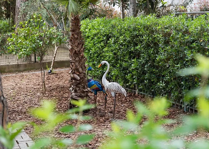 Dyrrahu Willa Golem (Tirana)