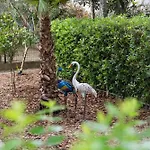 Dyrrahu 别墅 格勒姆