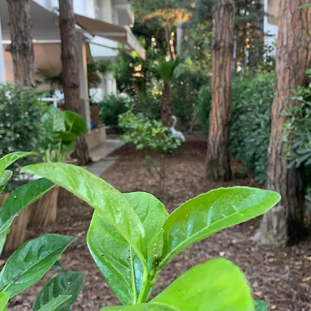 Dyrrahu * غوليم