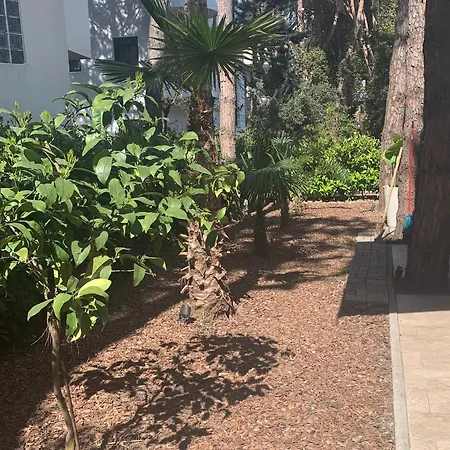 Dyrrahu Golem (Tirana)