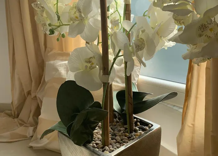 Dyrrahu 빌라 골렘